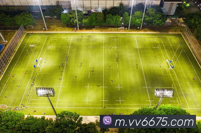 v66全站App